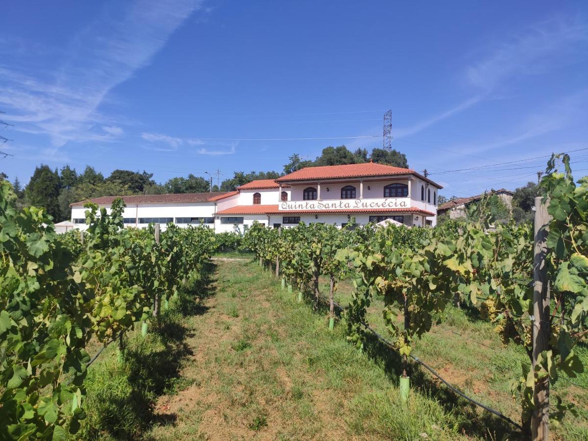 Villa Quinta Santa Lucrecia Braga Exterior foto